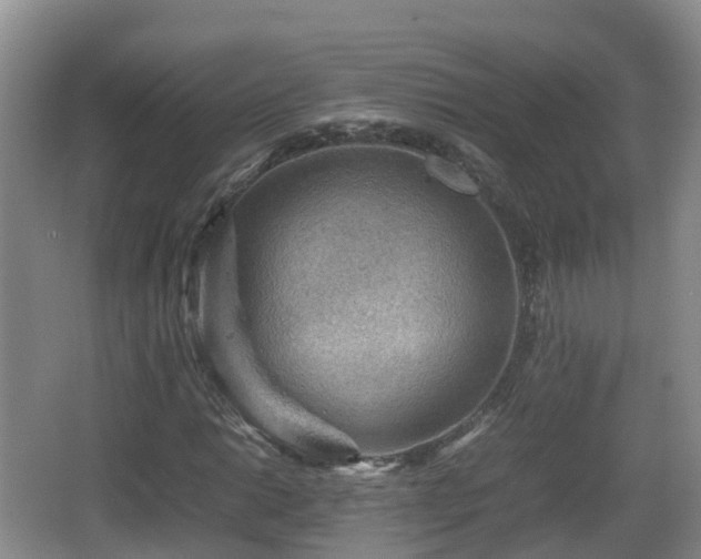 X0000067891014200604171331