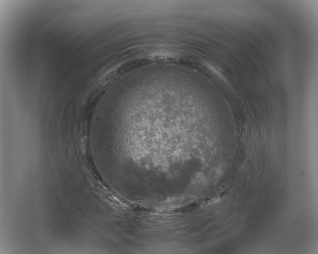 X0000067891015200604171331