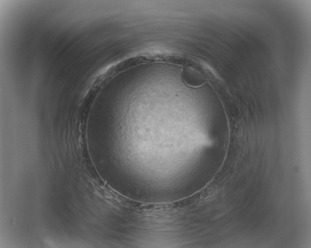 X0000067891016200604171331