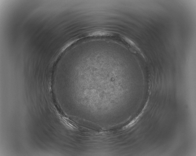 X0000067891017200604171331