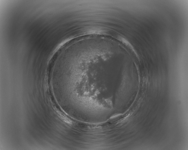 X0000067891019200604171331