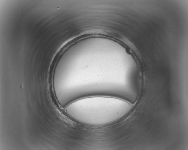 X0000067891020200604171331