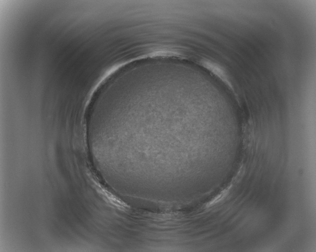 X0000067891021200604171331