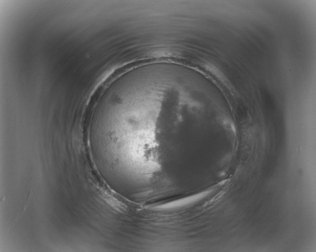 X0000067891023200604171332