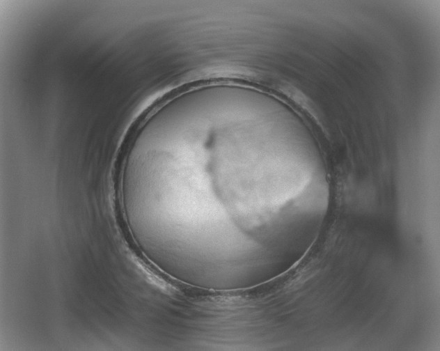 X0000067891024200604171332