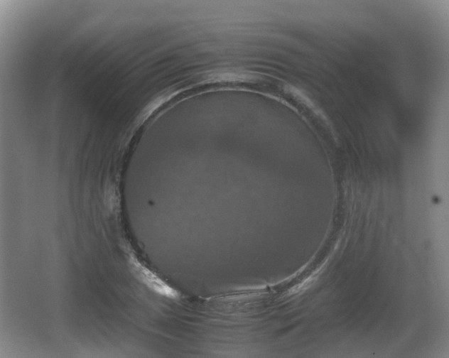 X0000067891025200604171332