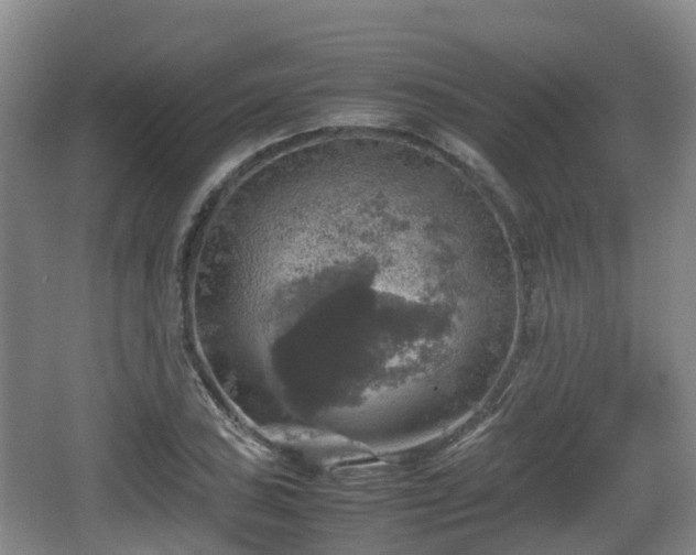 X0000067891027200604171332