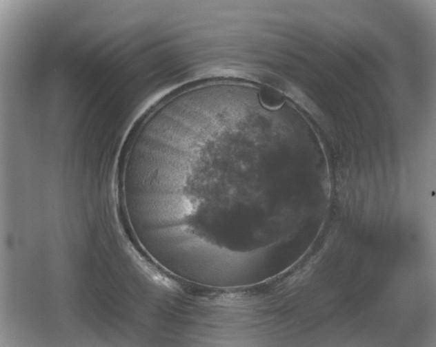 X0000067891028200604171332