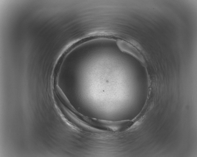 X0000067891030200604171332