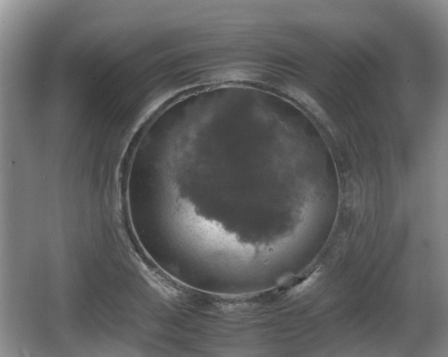 X0000067891031200604171332