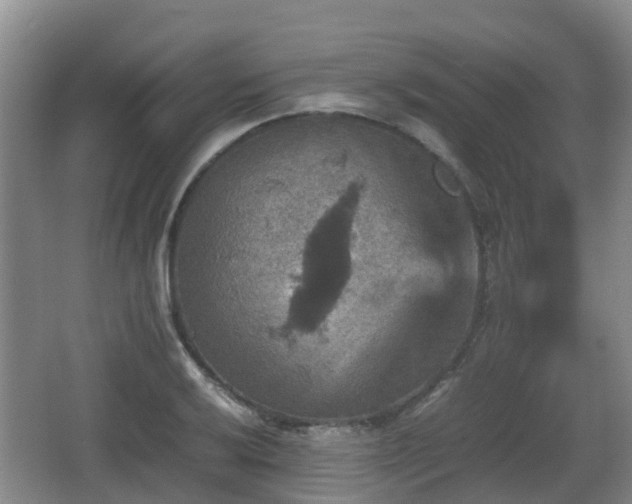 X0000067891032200604171332