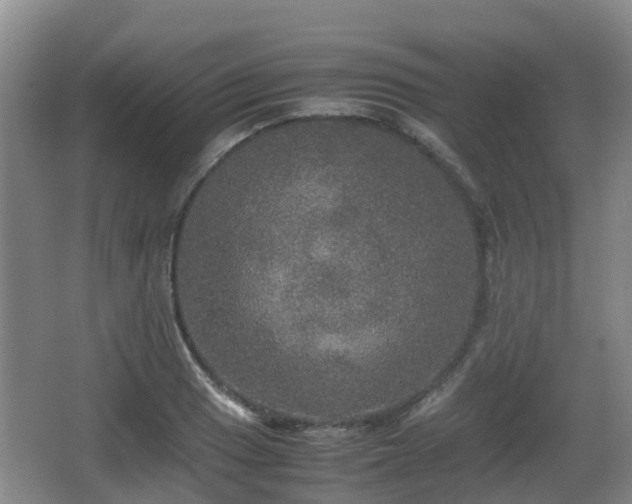 X0000067891033200604171332