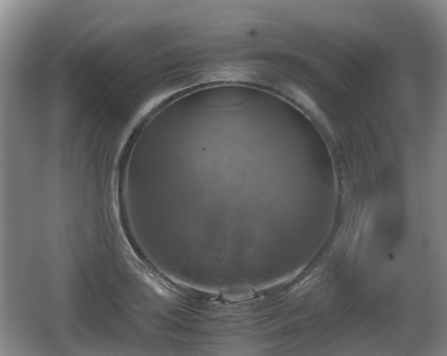 X0000067891035200604171332