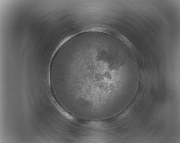 X0000067891036200604171332