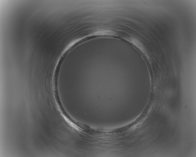 X0000067891037200604171332