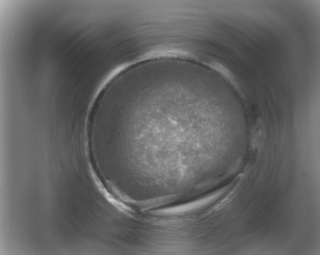 X0000067891038200604171332