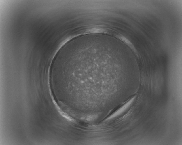 X0000067891039200604171332