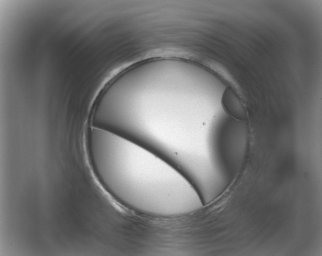 X0000067891040200604171332