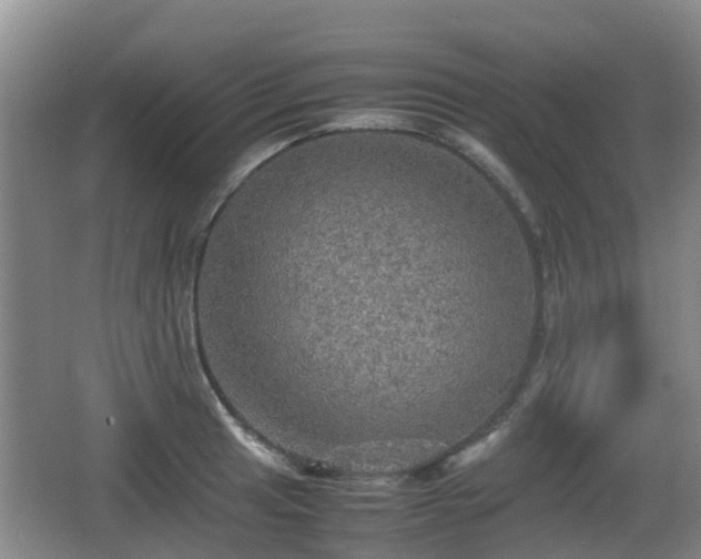 X0000067891041200604171332