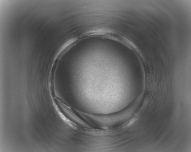 X0000067891042200604171332