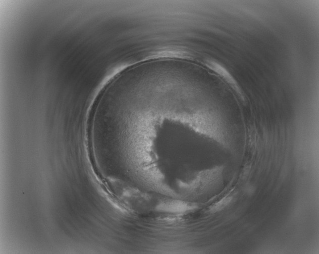 X0000067891043200604171332