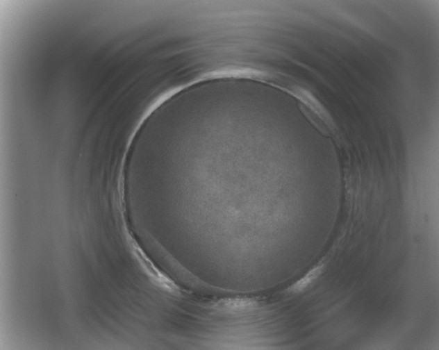 X0000067891044200604171332