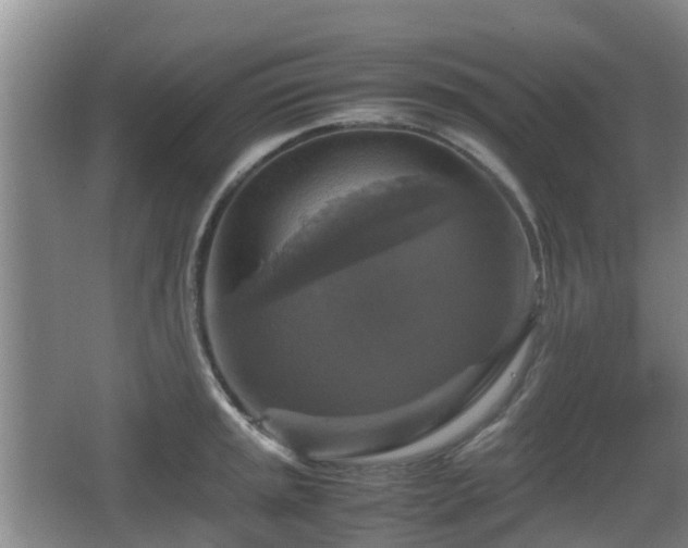 X0000067891045200604171332