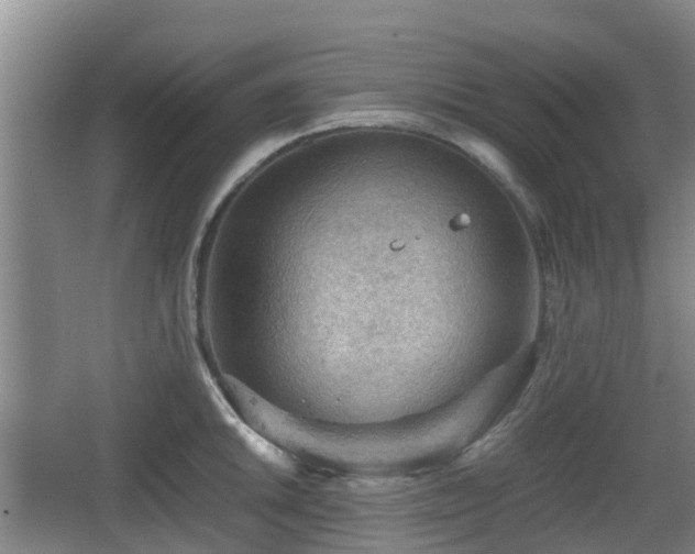 X0000067891046200604171332