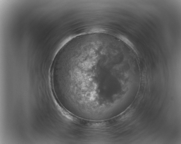 X0000067891047200604171332