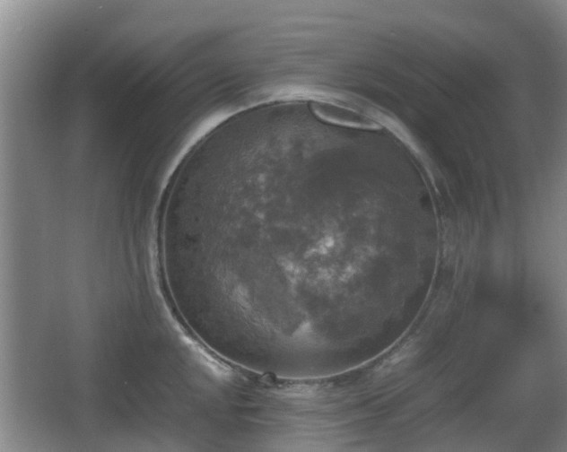 X0000067891048200604171332