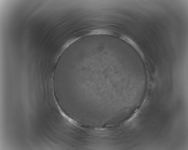 X0000067891049200604171332