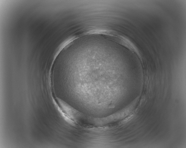 X0000067891050200604171332