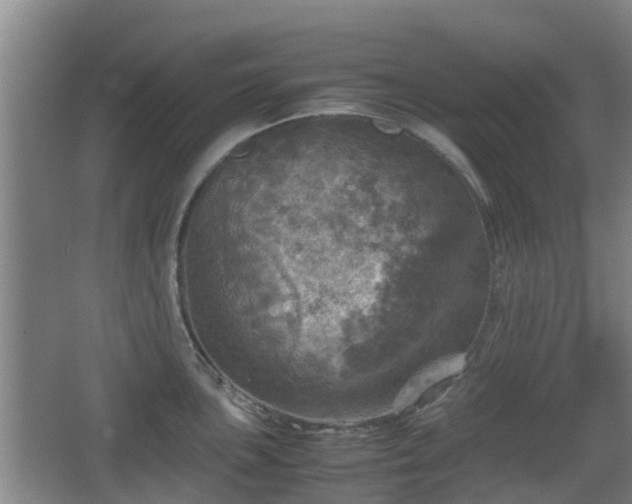 X0000067891051200604171332