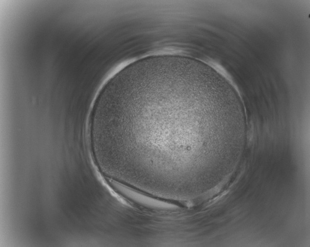 X0000067891053200604171332