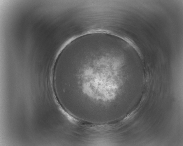 X0000067891054200604171332