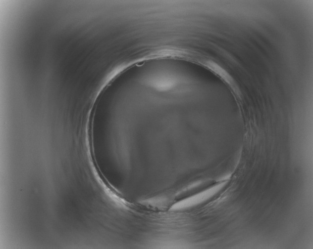 X0000067891055200604171332