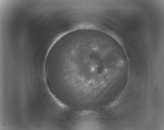 X0000067891056200604171332