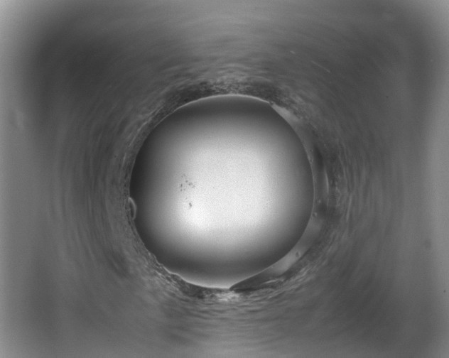 X0000067891057200604171331