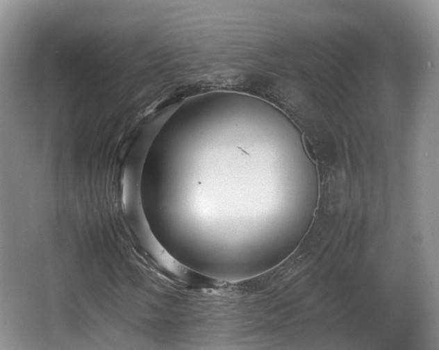 X0000067891058200604171331