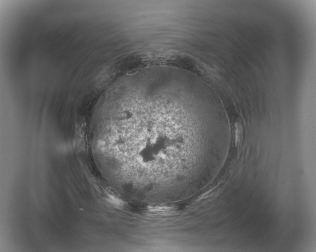 X0000067891059200604171331