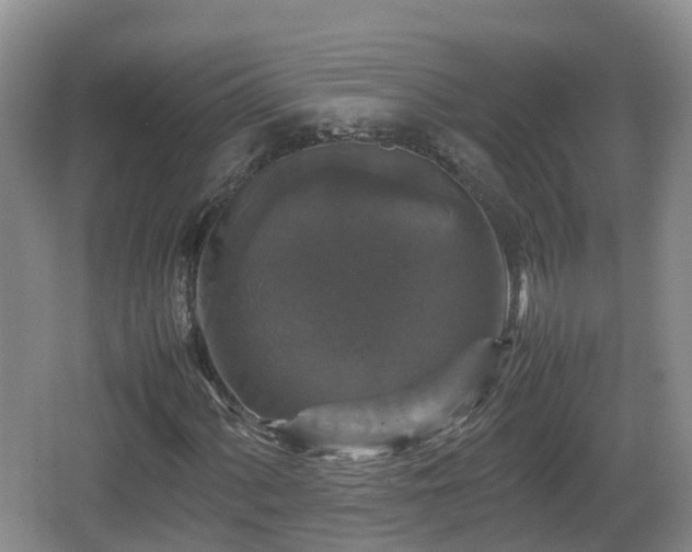 X0000067891060200604171331