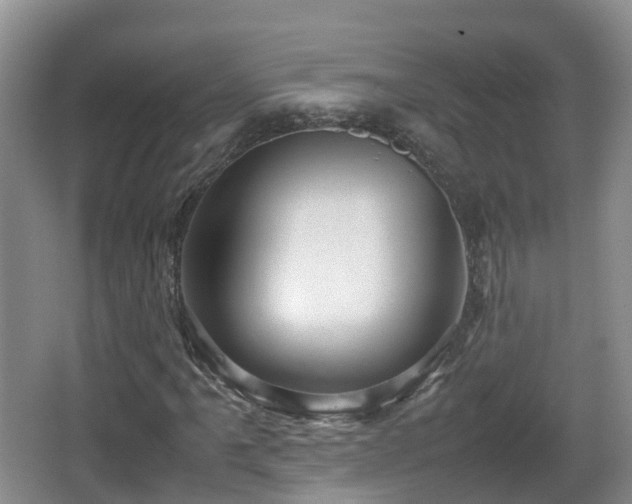 X0000067891061200604171331