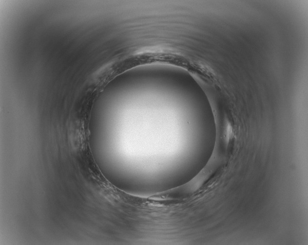 X0000067891062200604171331