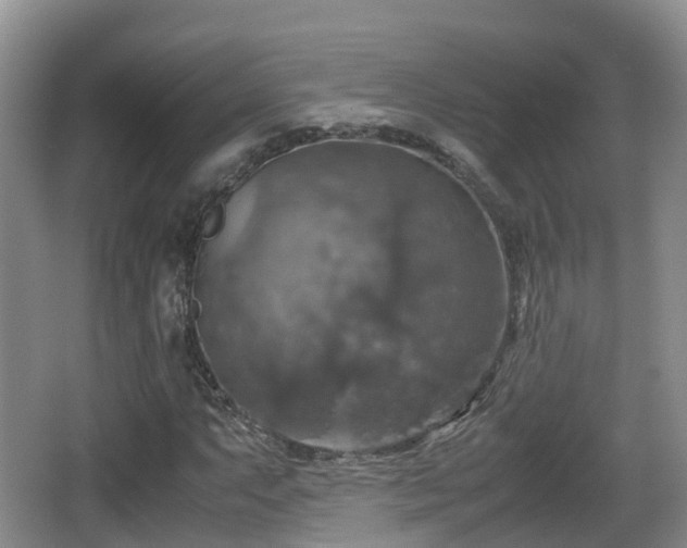 X0000067891063200604171331