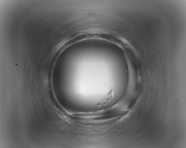 X0000067891065200604171331