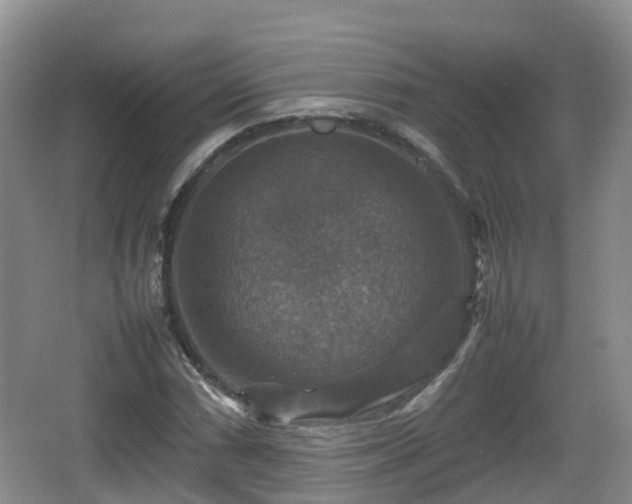 X0000067891066200604171331