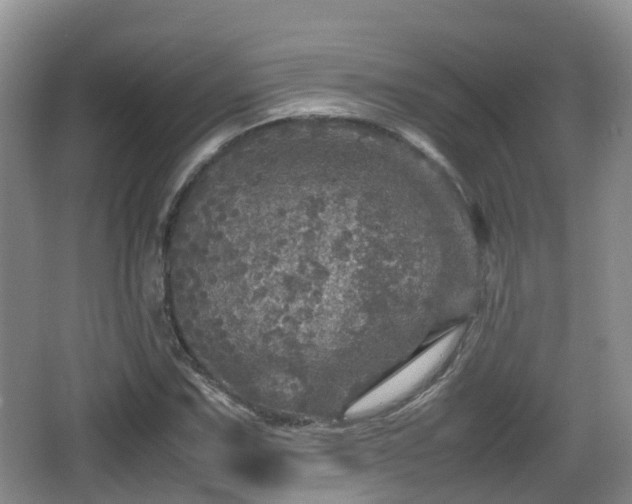 X0000067891067200604171331