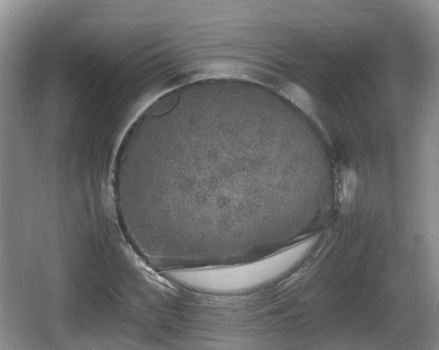 X0000067891068200604171331