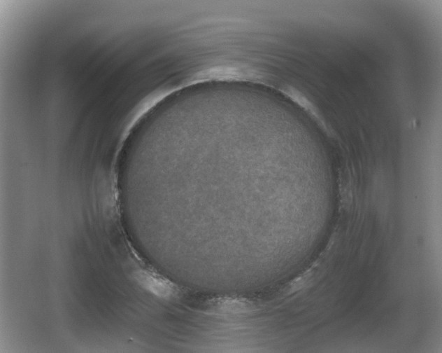 X0000067891070200604171331