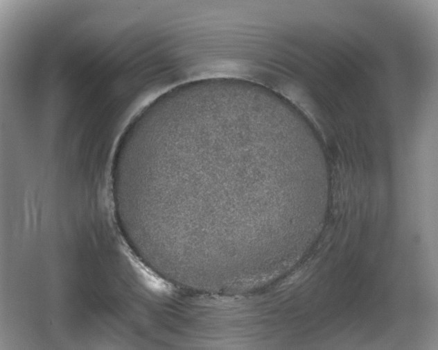 X0000067891072200604171331